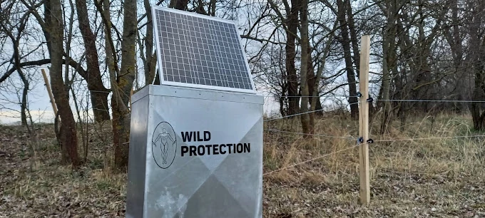Wild Protection